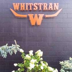 Whistran Steaks & Spirits